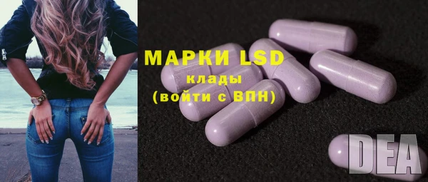 шишки Верея