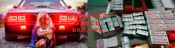 шишки Верея