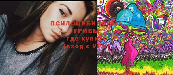 шишки Верея