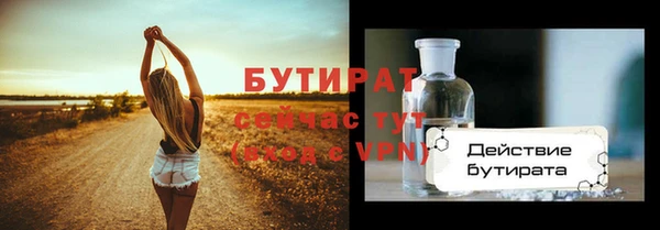 шишки Верея