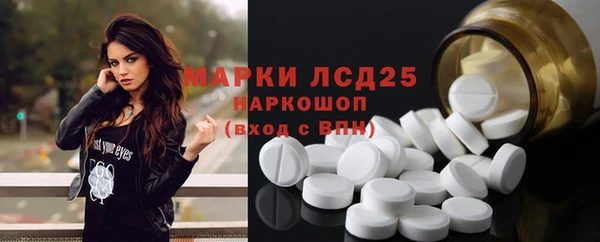 шишки Верея