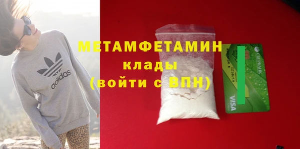 шишки Верея