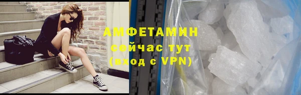шишки Верея