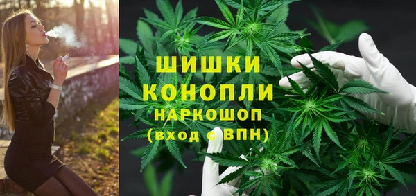 шишки Верея
