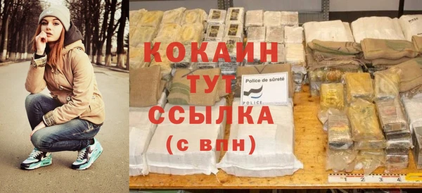шишки Верея