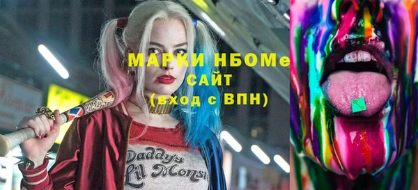 шишки Верея