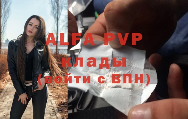 шишки Верея