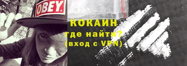 шишки Верея
