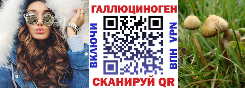 Псилоцибиновые грибы Psilocybe  Чебоксары 